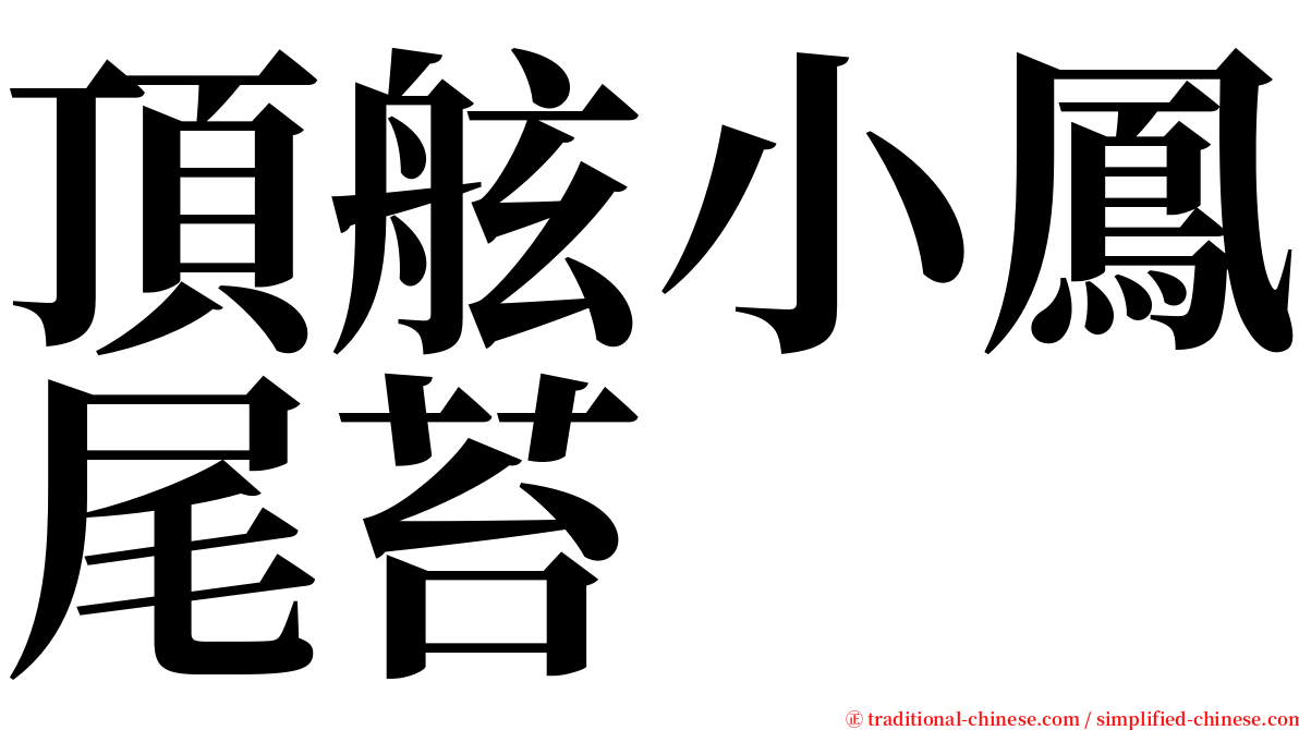 頂舷小鳳尾苔 serif font