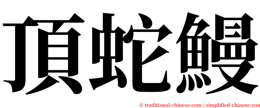 頂蛇鰻 serif font