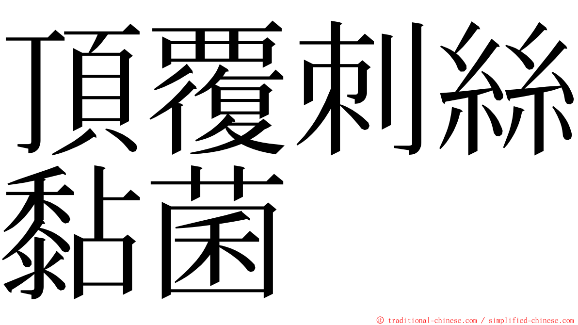 頂覆刺絲黏菌 ming font