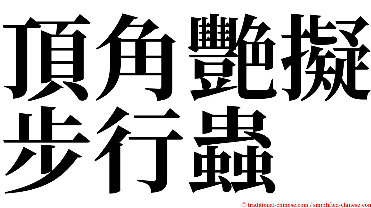 頂角艷擬步行蟲 serif font