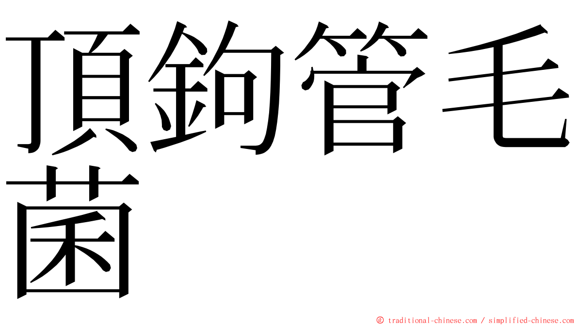 頂鉤管毛菌 ming font