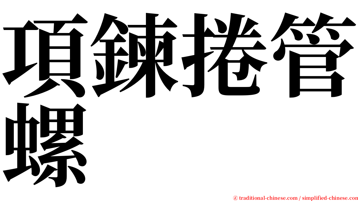 項鍊捲管螺 serif font