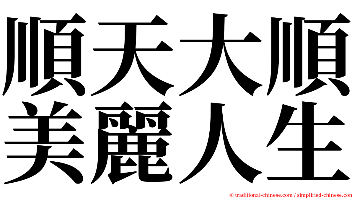 順天大順美麗人生 serif font