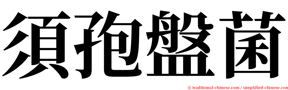 須孢盤菌 serif font