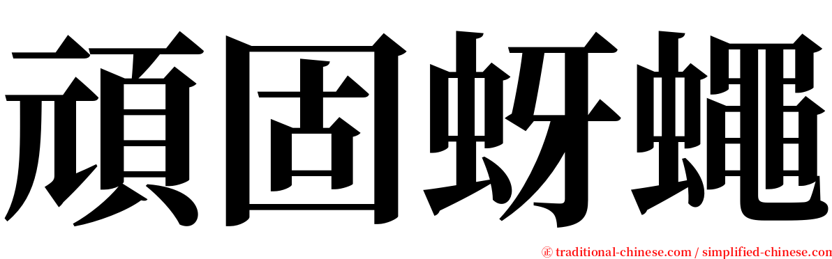 頑固蚜蠅 serif font