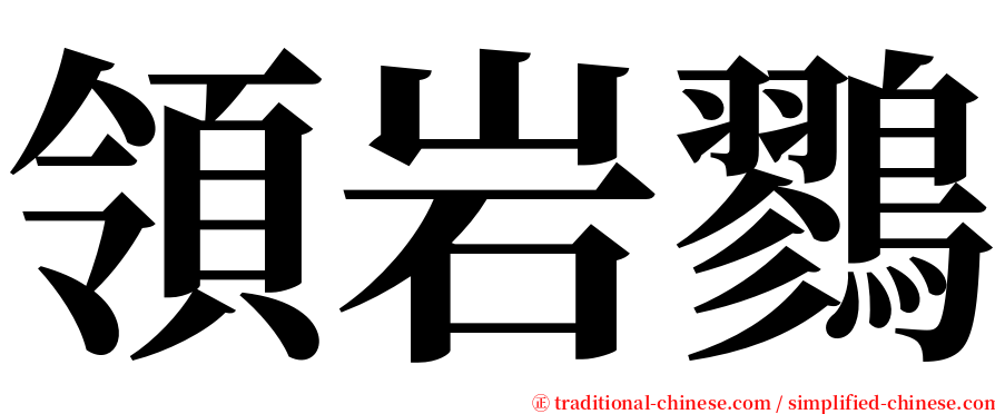 領岩鷚 serif font