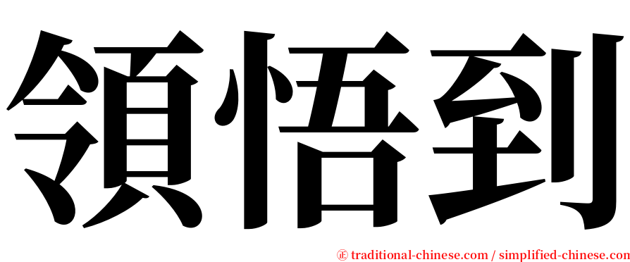 領悟到 serif font