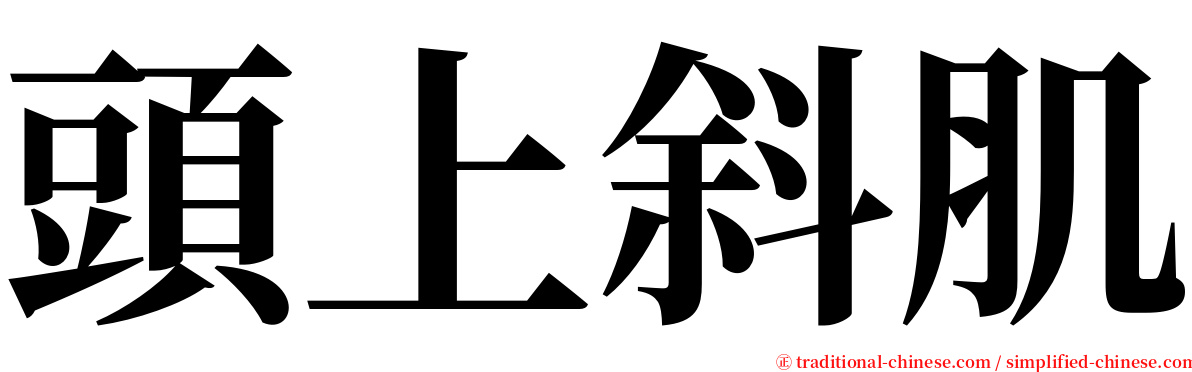 頭上斜肌 serif font