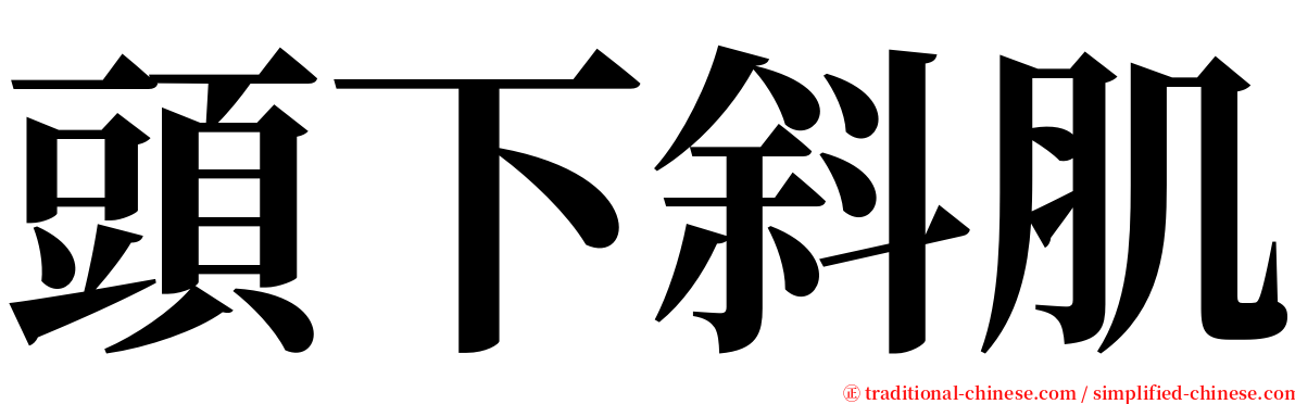 頭下斜肌 serif font