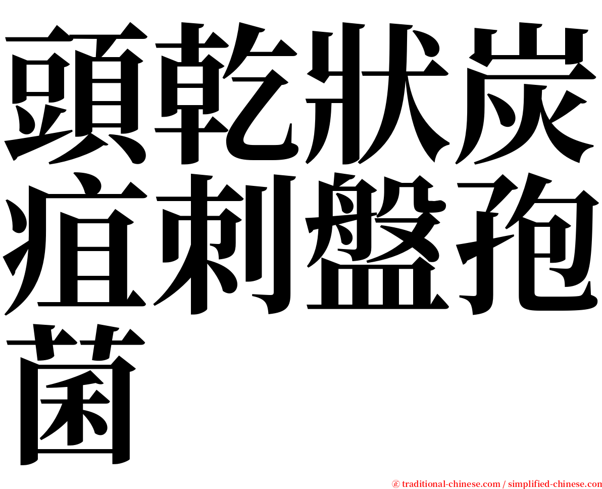 頭乾狀炭疽刺盤孢菌 serif font