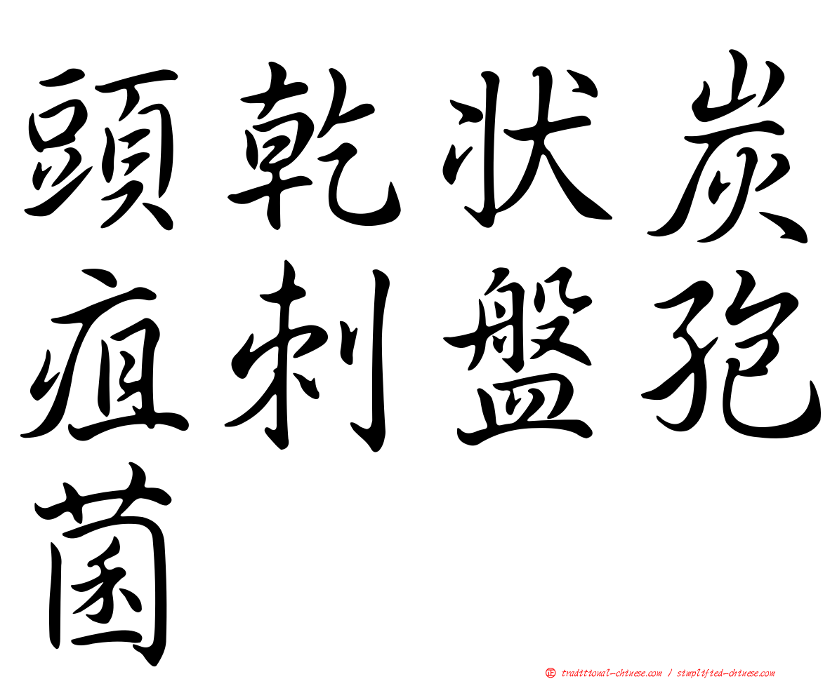 頭乾狀炭疽刺盤孢菌