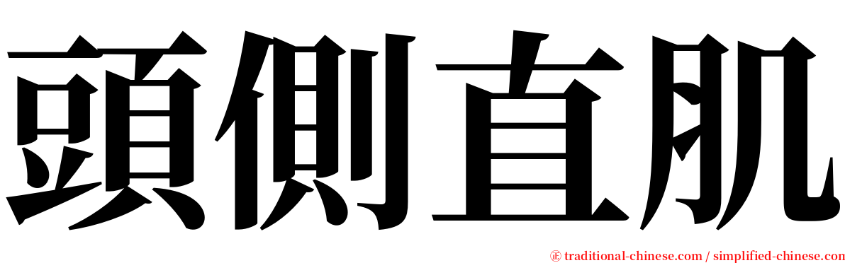 頭側直肌 serif font