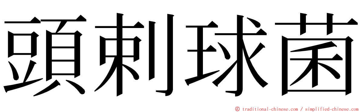 頭剌球菌 ming font