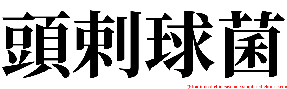 頭剌球菌 serif font