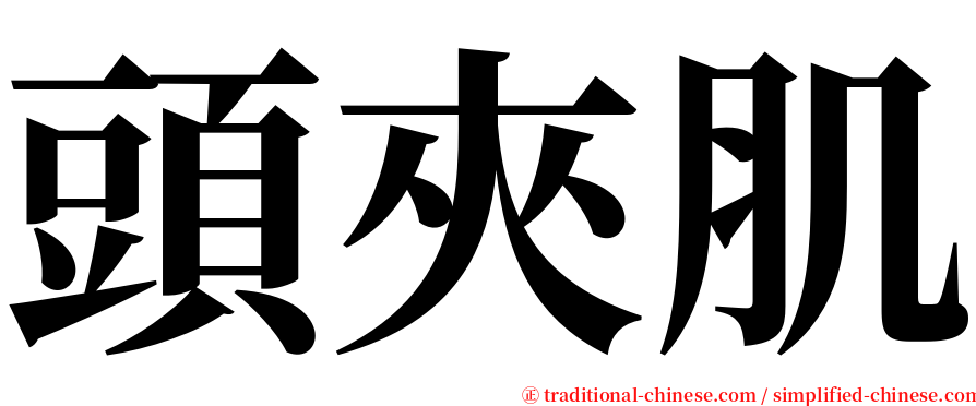 頭夾肌 serif font