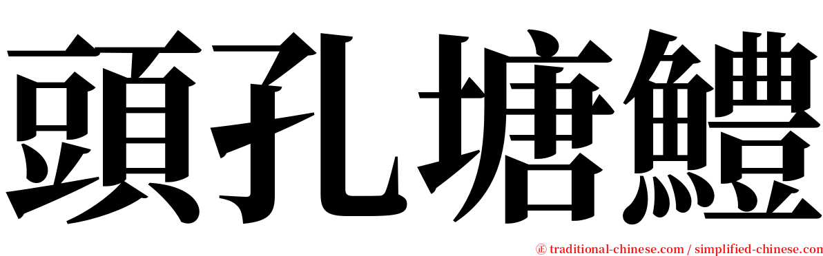 頭孔塘鱧 serif font