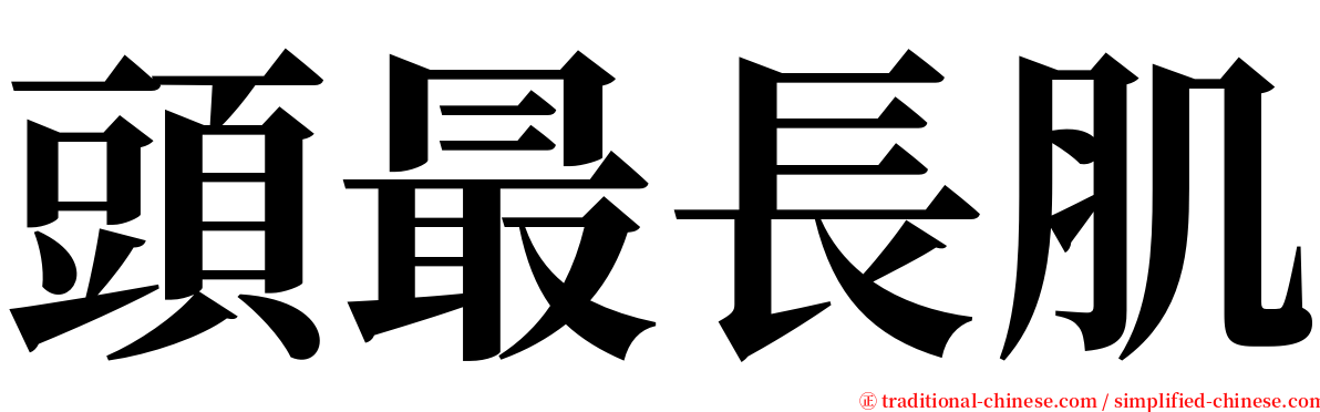 頭最長肌 serif font