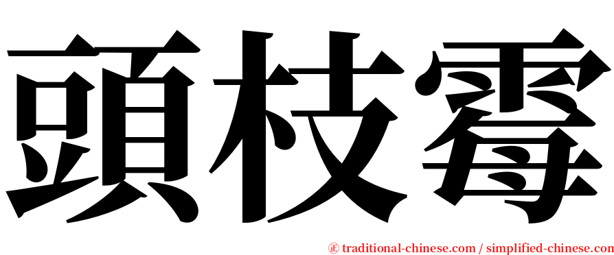 頭枝霉 serif font