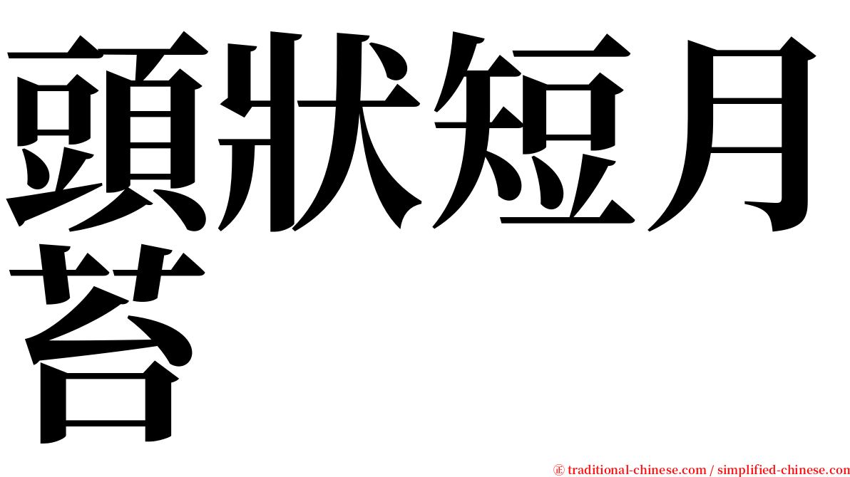 頭狀短月苔 serif font