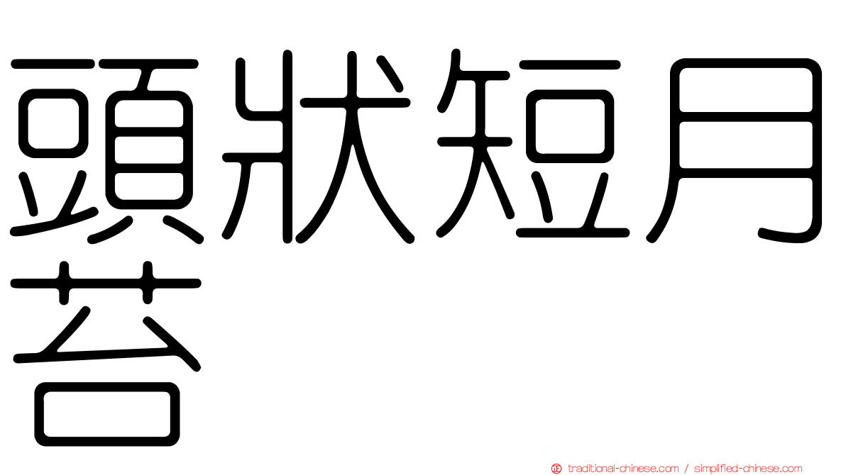 頭狀短月苔