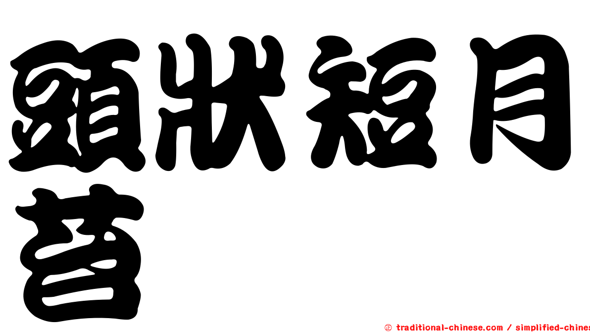 頭狀短月苔