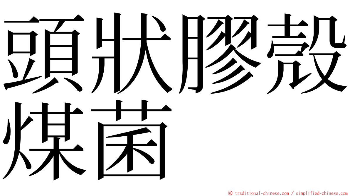 頭狀膠殼煤菌 ming font