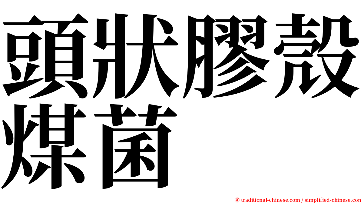 頭狀膠殼煤菌 serif font