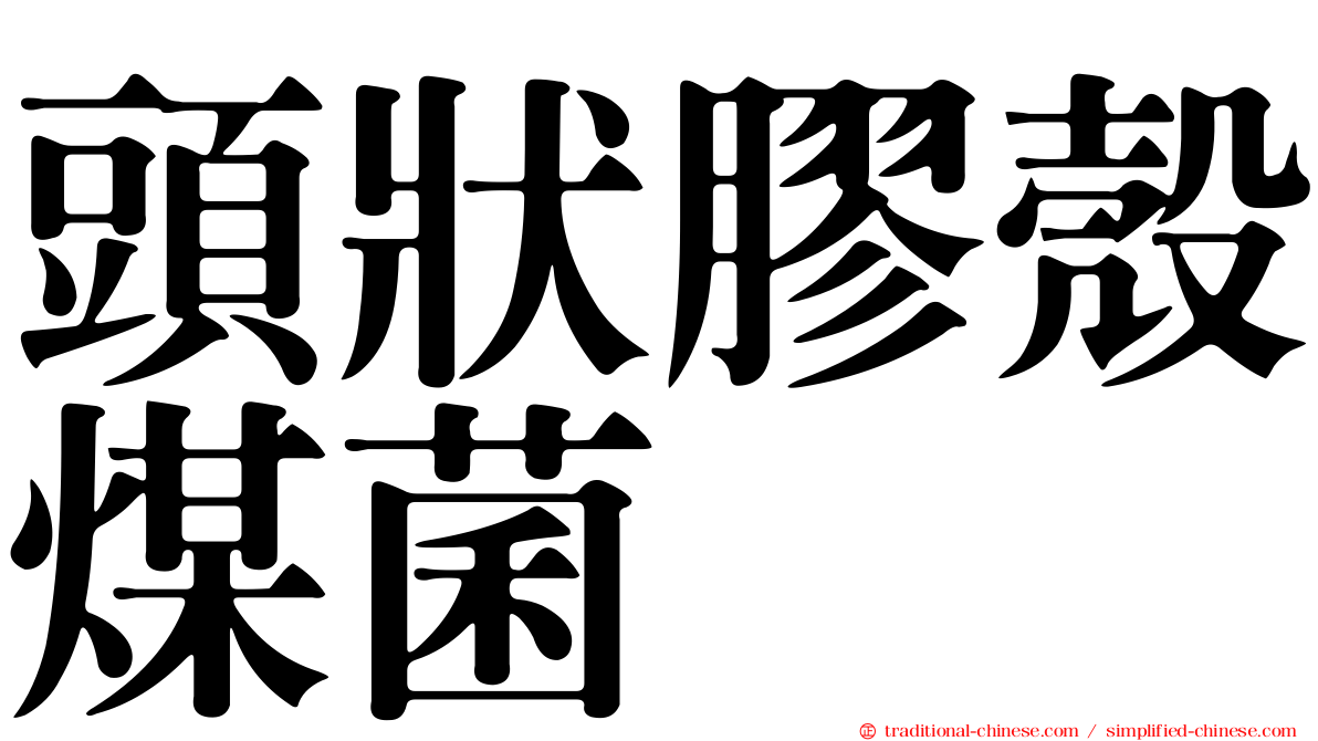 頭狀膠殼煤菌