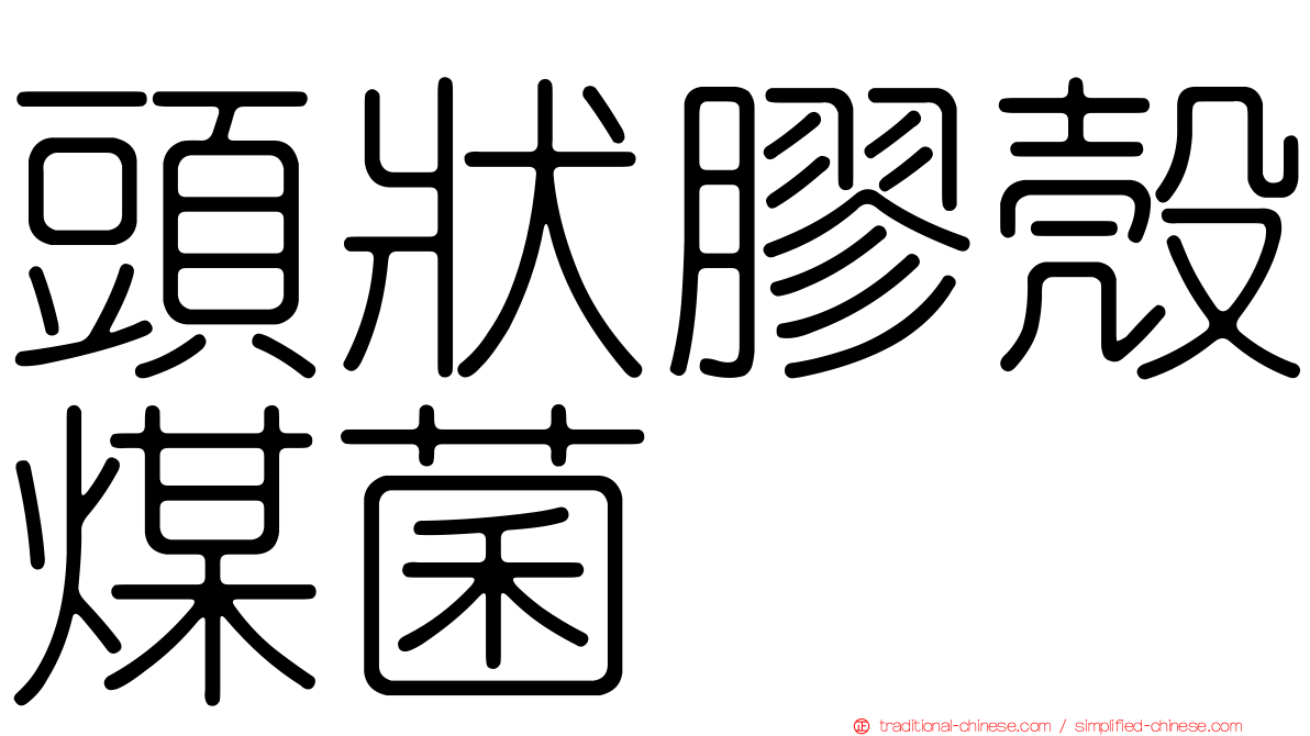 頭狀膠殼煤菌