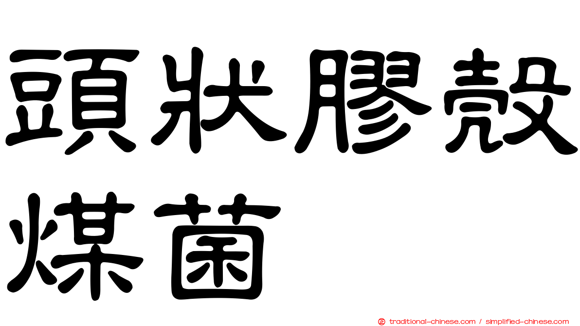 頭狀膠殼煤菌