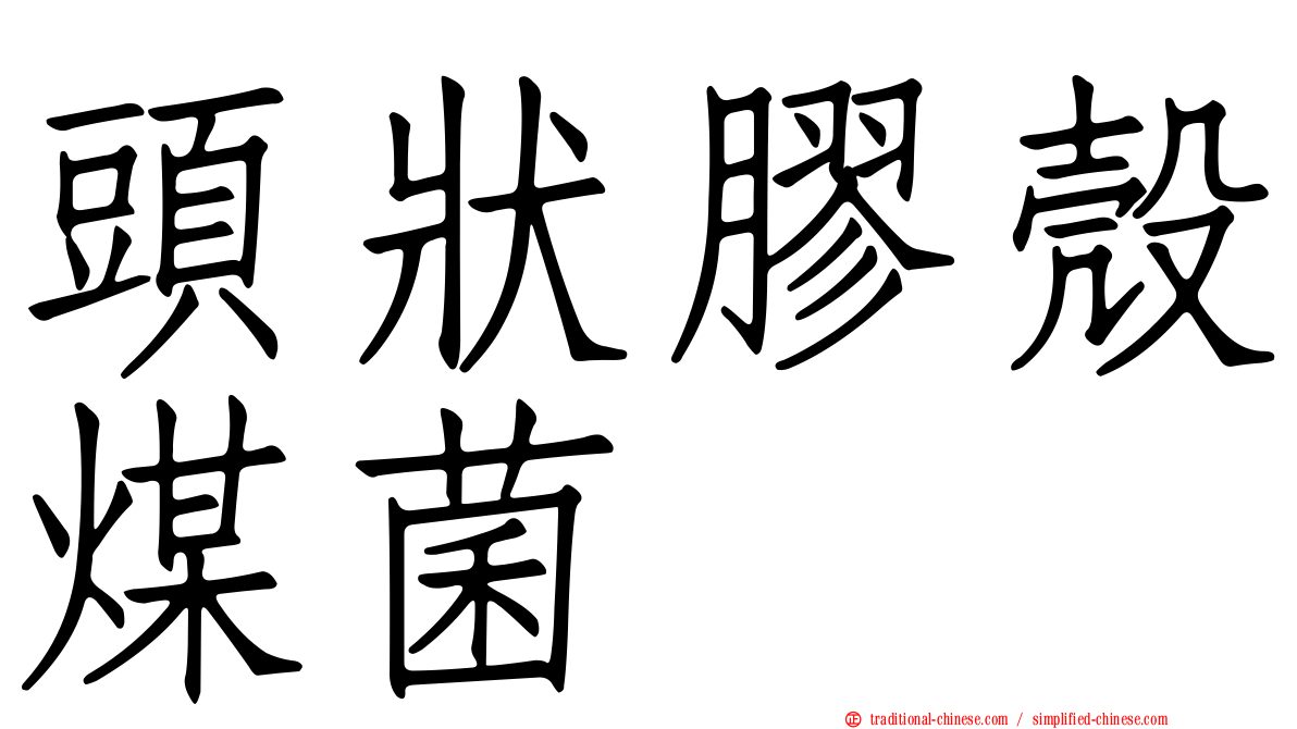 頭狀膠殼煤菌