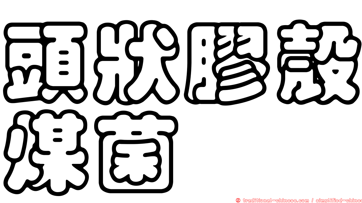 頭狀膠殼煤菌