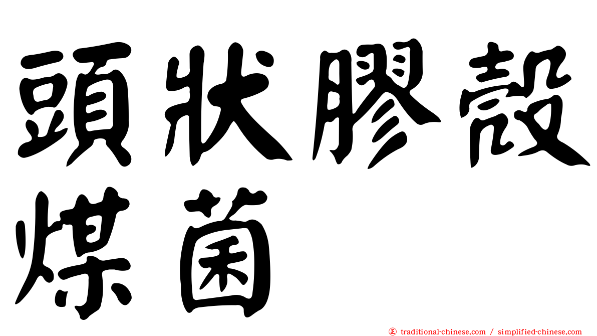 頭狀膠殼煤菌