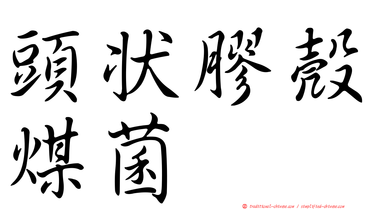 頭狀膠殼煤菌