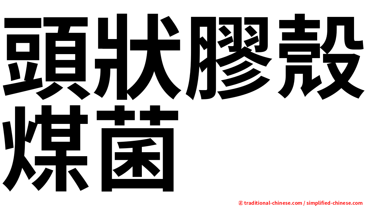 頭狀膠殼煤菌