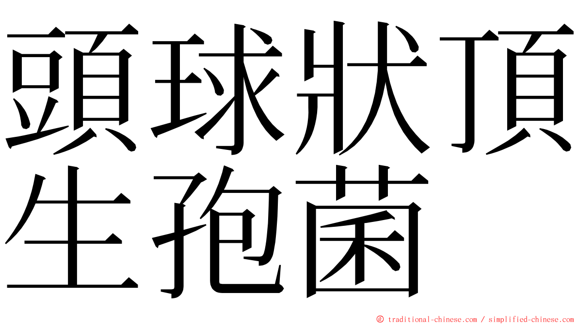 頭球狀頂生孢菌 ming font