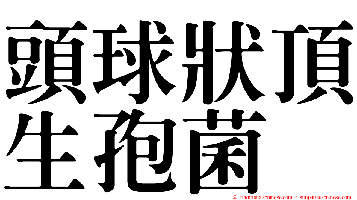 頭球狀頂生孢菌
