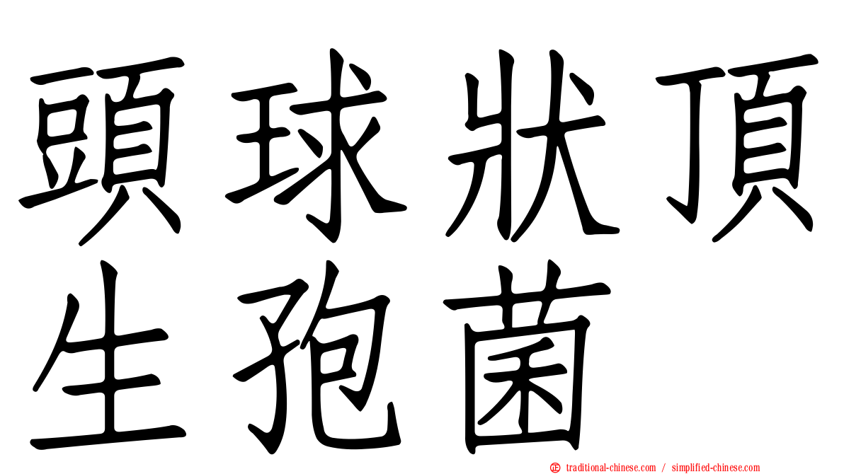 頭球狀頂生孢菌