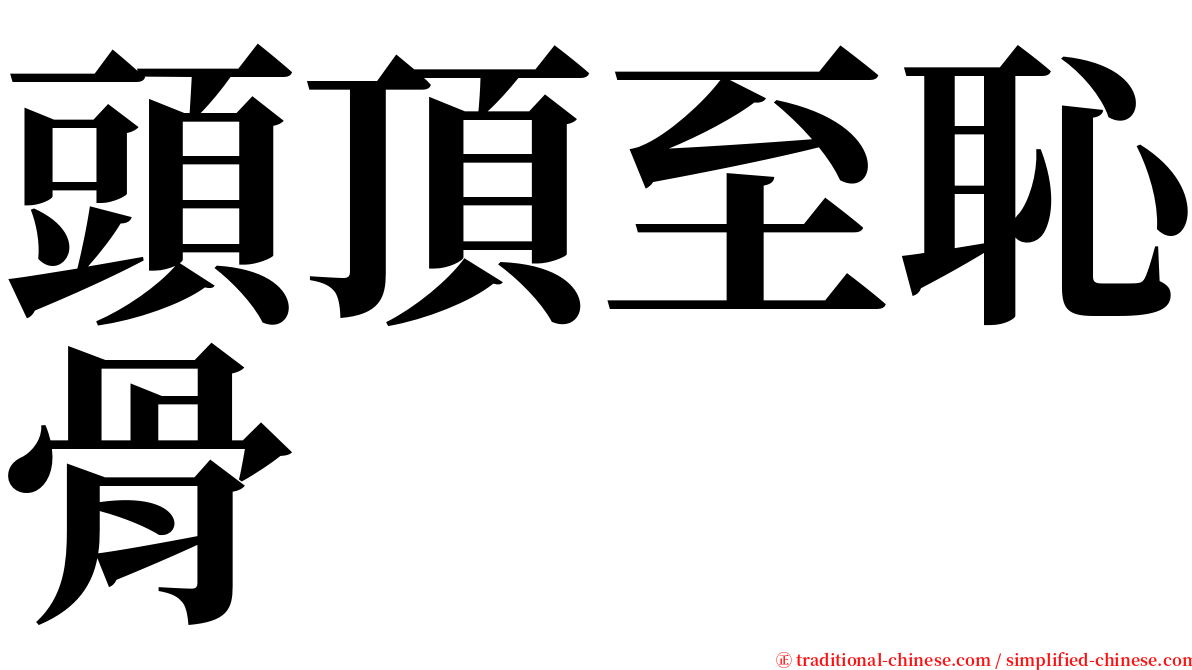 頭頂至恥骨 serif font