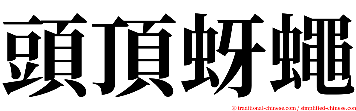 頭頂蚜蠅 serif font