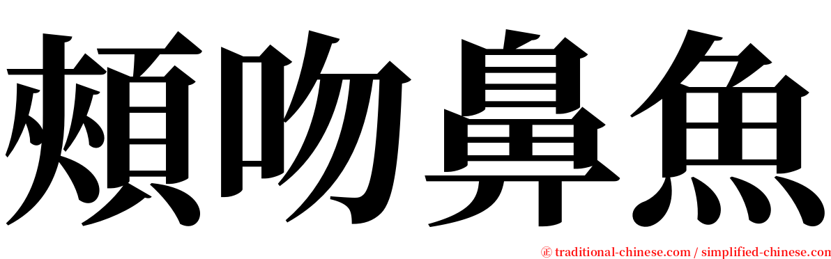 頰吻鼻魚 serif font