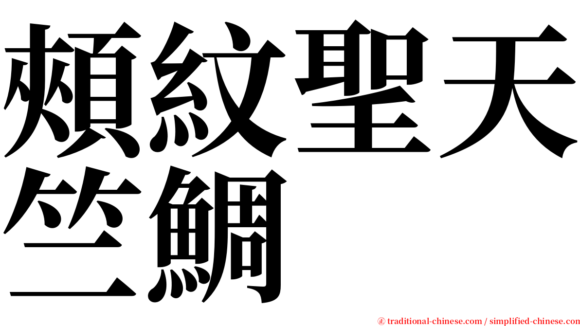 頰紋聖天竺鯛 serif font