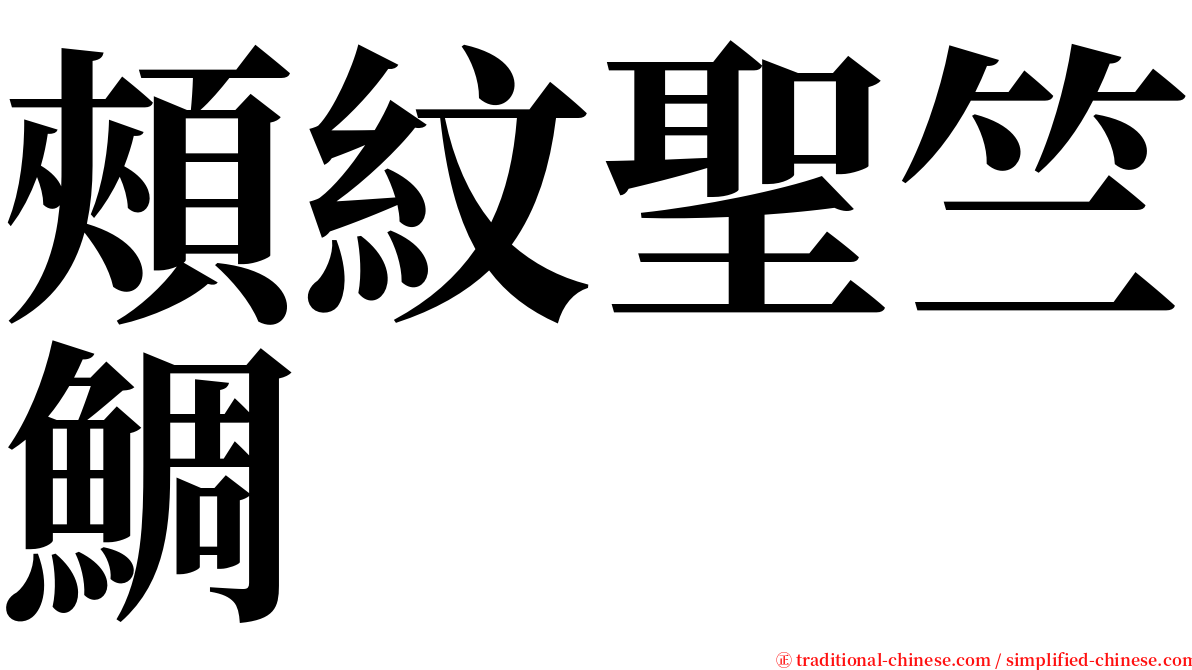 頰紋聖竺鯛 serif font