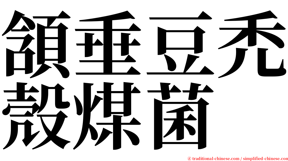 頷垂豆禿殼煤菌 serif font