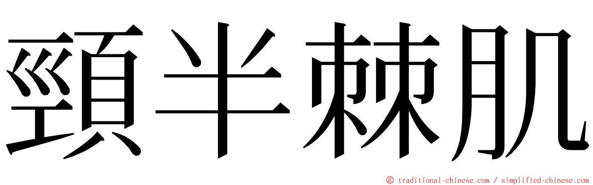 頸半棘肌 ming font