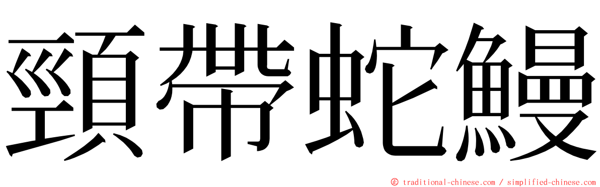 頸帶蛇鰻 ming font