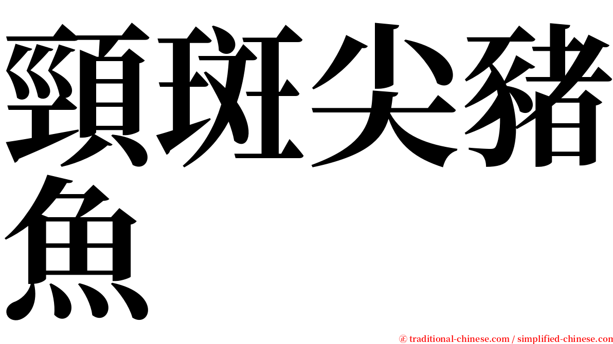 頸斑尖豬魚 serif font