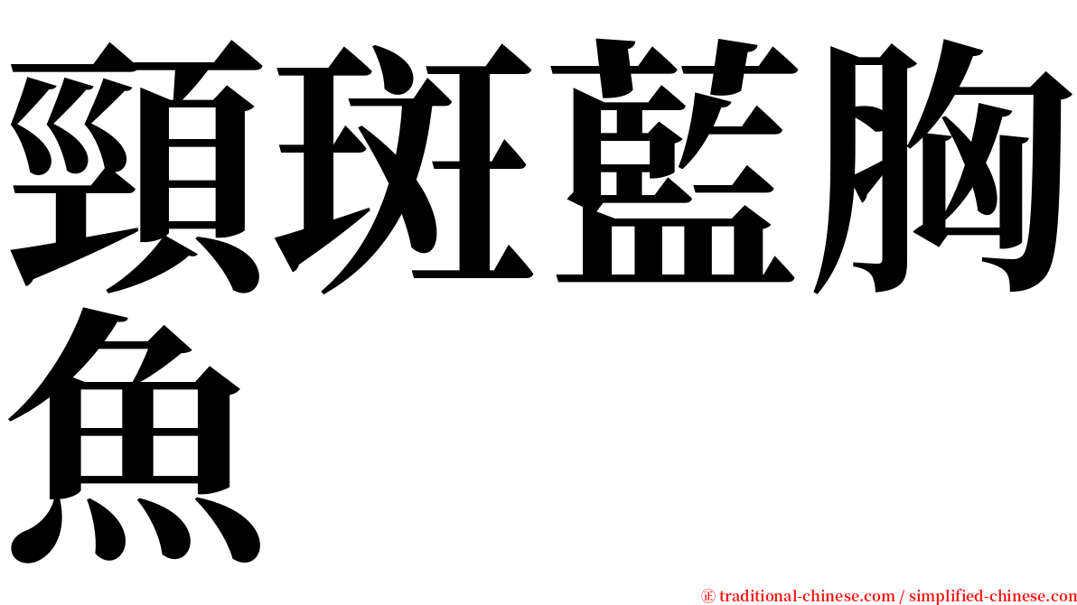 頸斑藍胸魚 serif font