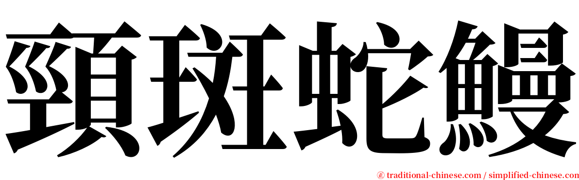 頸斑蛇鰻 serif font