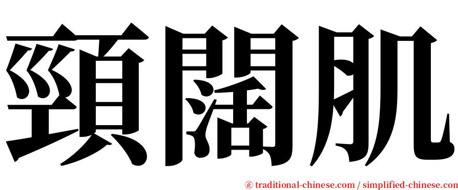 頸闊肌 serif font